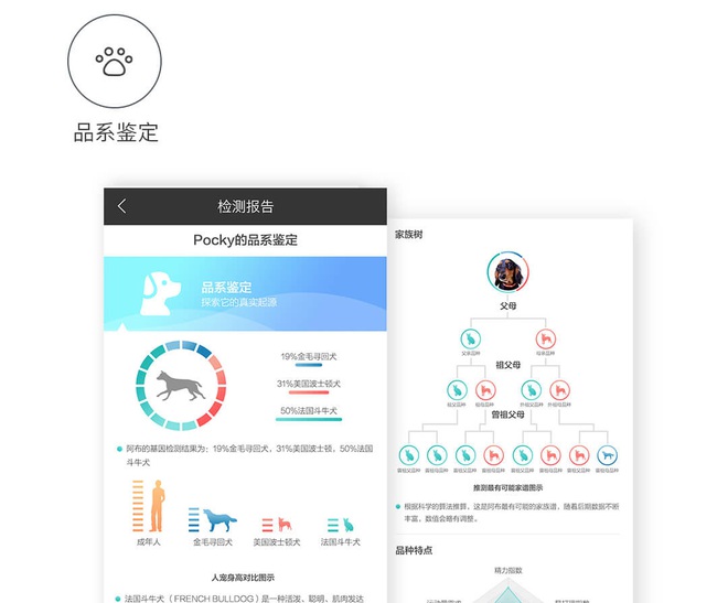 Xiaomi ra mắt bộ công cụ xét nghiệm phả hệ và sức khỏe thú cưng, giá 333.000 đồng - Ảnh 3.