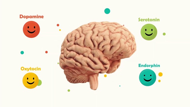 Làm sao để tập luyện não bộ tiết ra nhiều hooc-môn hạnh phúc hơn? - Ảnh 1.
