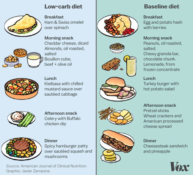 Chúng ta đổ lỗi cho carbohydrate đang khiến mình béo lên: Nhưng nếu điều đó sai thì sao? - Ảnh 3.