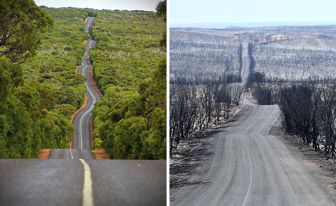 Chùm ảnh đau lòng: Nước Úc trước và sau khi ngọn lửa hung tàn quét qua - Ảnh 1.