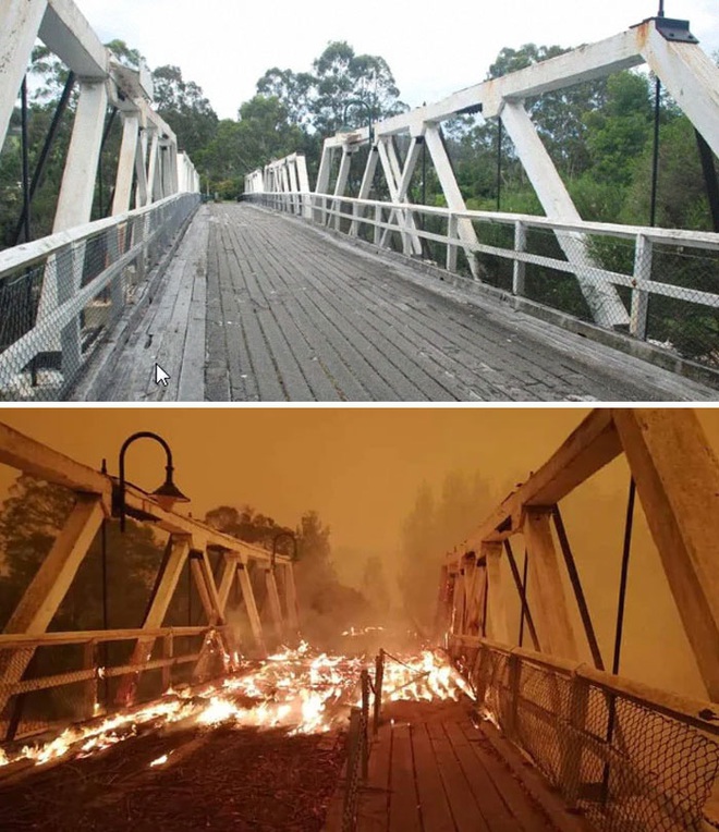 Chùm ảnh đau lòng: Nước Úc trước và sau khi ngọn lửa hung tàn quét qua - Ảnh 8.