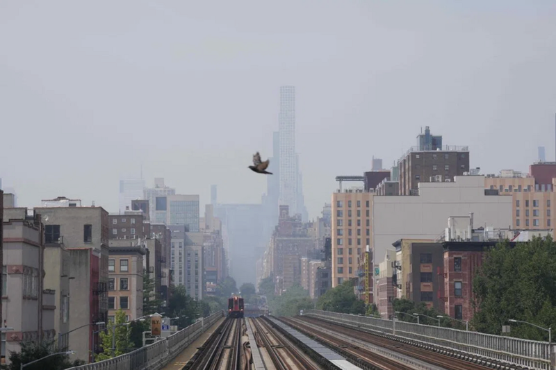 Khói cháy rừng bao phủ miền đông nước Mỹ, chung kết World Cup có thể bị ảnh hưởng