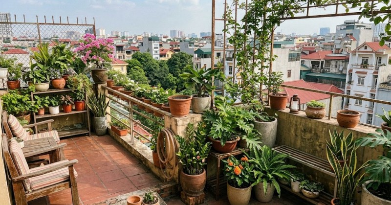 Lời khuyên khi đặt nhiều chậu cây trên ban công, sân thượng