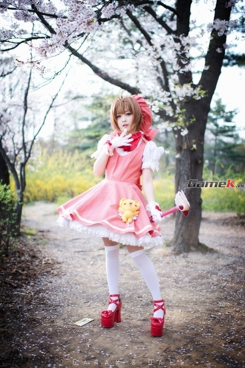 Cosplay Sakura rất dễ thương của coser nổi tiếng Tomia 1