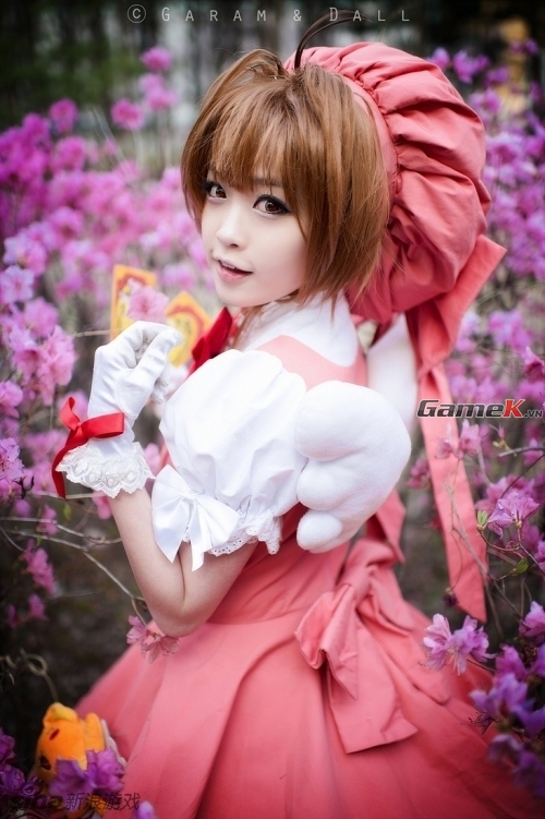 Cosplay Sakura rất dễ thương của coser nổi tiếng Tomia 2