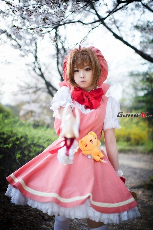 Cosplay Sakura rất dễ thương của coser nổi tiếng Tomia 4