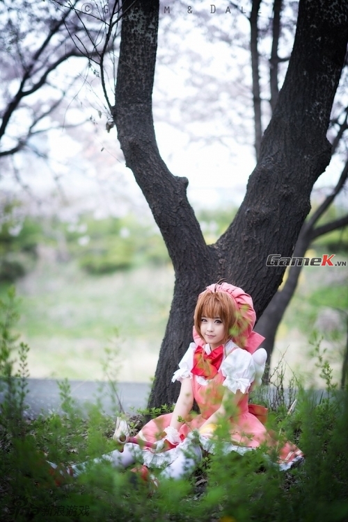 Cosplay Sakura rất dễ thương của coser nổi tiếng Tomia 13