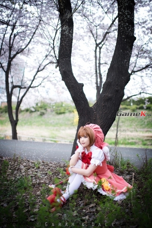 Cosplay Sakura rất dễ thương của coser nổi tiếng Tomia 14