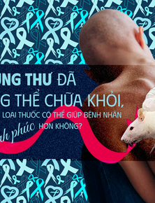 Các nhà khoa học tiêm thuốc chữa xương khớp cho chuột mắc ung thư giai đoạn cuối, chúng không khỏi ung thư, nhưng một điều kỳ diệu đã xảy ra