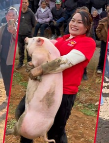 Người phụ nữ Trung Quốc gây sốt khi tay không thắng 22 cuộc thi bắt lợn chỉ trong một năm