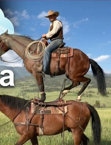 Khai tử Sora: Giờ OpenAI mới nhận ra, người dùng không cần AI rác, còn Anthropic đã đúng từ đầu