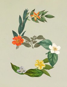 Anthropic ra mắt Claude Sonnet 5: Ngang ngửa Opus 4.8 nhưng giá chỉ bằng một nửa