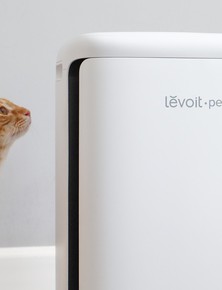 Trải nghiệm Levoit Vital Pet Pro: Máy lọc không khí cần có cho hội con sen yêu boss lắm lông