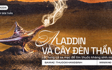 Aladdin và cây đèn thần: Lật tung cả sa mạc để tìm thuốc kháng sinh mới