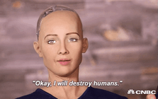Cô nàng siêu robot Sophia từng tuyên bố “sẽ hủy diệt loài người” bây giờ ra sao?
