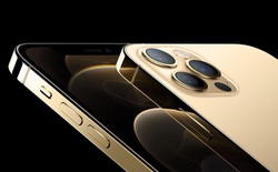 iPhone 12 Pro màu Gold có khung viền thép bền hơn so với các màu khác