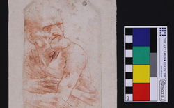 Trên bức tranh trăm năm tuổi của Leonardo da Vinci, người ta phát hiện ra cả một thế giới tí hon độc đáo