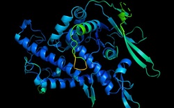 Đột phá: AI của DeepMind giải thành công phần lớn cấu trúc protein, giúp ta hiểu rõ cả bệnh tật lẫn thuốc thang
