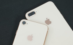 iPhone 8 và iPhone 8 Plus chính thức bị Apple khai tử