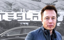 Không bênh nổi ‘con cưng’, Elon Musk lần đầu thừa nhận Tesla có vấn đề về chất lượng