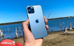 Có 41 triệu, không lên đời iPhone 12 Pro Max 512GB thì đây là những combo công nghệ bạn có thể mua