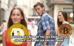 Làm giàu không khó: Lời gấp 6.580 lần khi mua 1.000 USD Dogecoin vào đầu năm nay