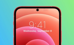 iPhone SE 2022 sẽ hỗ trợ mạng 5G, thiết kế giống iPhone 11 trong khi iPhone SE 2023 sẽ bỏ “tai thỏ”?