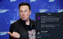 Bitcoin lao dốc, thị trường tiền ảo lại bốc hơi 200 tỷ USD vì Elon Musk