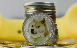 Buồn cho nhà sáng lập DogeCoin, bán hết số coin chỉ đủ mua chiếc Honda Civic cũ, giờ vốn hóa DogeCoin còn gấp đôi Honda
