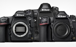 Dấu hiệu cho thấy Nikon sắp ngừng kinh doanh máy ảnh DSLR