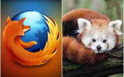 Ai cũng nghĩ biểu tượng trình duyệt FireFox là "Cáo lửa": Bất ngờ thay, đây hóa ra là con vật khác!