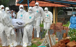 Virus Nipah bùng phát: Tỷ lệ tử vong cao gấp 20 lần COVID-19, WHO cảnh báo có thể gây ra đại dịch tiếp theo