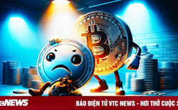 Đức thu giữ lượng bitcoin trị giá 2,17 tỷ USD từ chủ web phim lậu