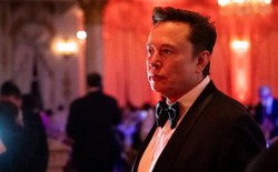 ‘Bộ trưởng’ Elon Musk ‘khai đao’ với Microsoft và ChatGPT, khiến hàng loạt ông lớn run sợ vì từng chê bai mình