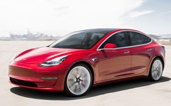 Tesla cập nhật phần mềm, một TikToker bị nhốt với cái nóng 45 độ C trong xe
