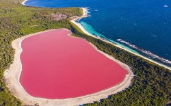 Tại sao ở Úc có nhiều hồ màu hồng?