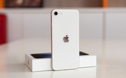 Apple cần iPhone 250 USD để tăng doanh số, nhưng không muốn tạo ra "sản phẩm rẻ tiền, tệ hại" đi ngược triết lý của Steve Jobs