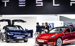 Tesla tìm đất cho nhà máy xe điện 3 tỷ USD tại thị trường ô tô lớn thứ 3 thế giới, địa điểm có thể không xa nơi đặt cơ sở sản xuất của VinFast