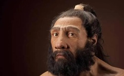 Phát hiện ra 3 mẫu virus cổ nhất lịch sử trên hóa thạch Neanderthal 50.000 năm tuổi