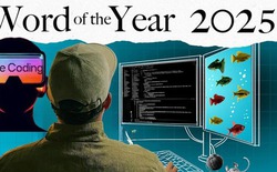 "Vibe coding" được vinh danh là từ của năm 2025