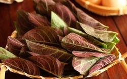 Thứ lá rẻ tiền, có đầy ở Việt Nam, tốt bất ngờ với nam giới: Ai trước giờ không biết ăn quá phí