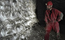 Phát hiện mạng nhện lớn nhất thế giới, đủ lớn để bắt được một con cá voi