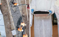 Phát minh có thể thay đổi hoàn toàn ngành xây dựng: Dùng bã cà phê để trộn thêm, giúp bê tông cứng gấp nhiều lần, giảm phát thải CO2 đến hơn 20%