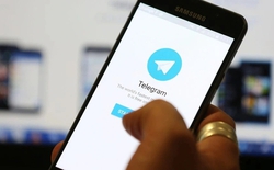 Tội phạm mạng tháo chạy khỏi Telegram