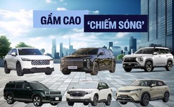 45 xe gầm cao ra mắt Việt Nam 2025: Gần nửa vẫn chạy xăng, dầu nhưng xe điện, hybrid có nhiều cái tên hot