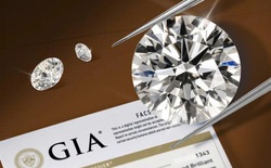 Chọn kim cương đơn giản như chọn smartphone nhờ chính sách minh bạch mới từ Tierra Diamond