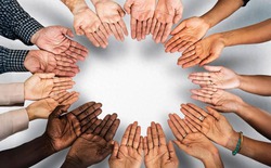 Tại sao con người lại có năm ngón tay và năm ngón chân?