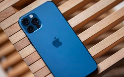 iPhone cũ nào đáng mua nhất hiện nay?