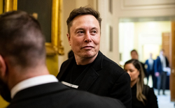 Elon Musk bị phạt 140 triệu USD, X nhận cáo buộc tiếp tay cho lừa đảo