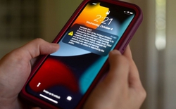 Cảnh bảo nóng với những người tò mò CV của Le Xuan Son